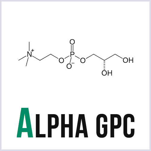 alpha-gpc-supplement