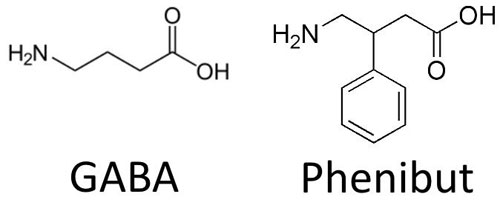 Phenibut Nootropic Supplements Review – Does GABA Work?