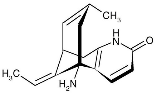 Huperzine A Nootropic Supplements Review – Performance Enhancer?